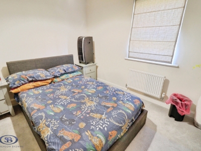 Picture 16